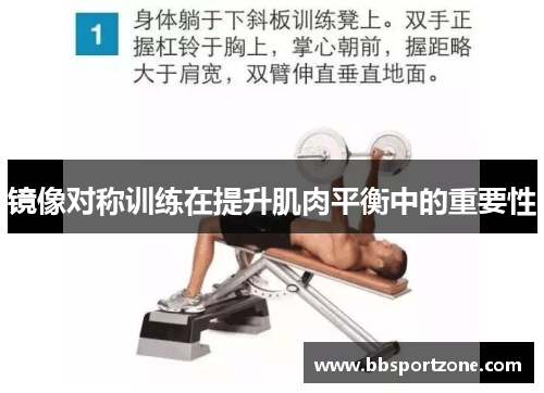 镜像对称训练在提升肌肉平衡中的重要性